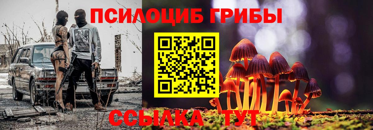 Псилоцибиновые грибы Psilocybe  цена наркотик  Миллерово  Вход с VPN 